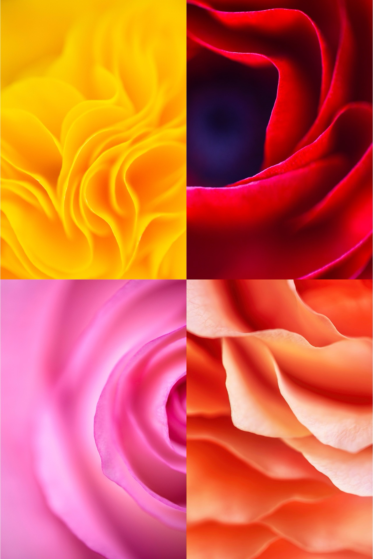 https://cdn.recaster.org/cast/f124350d-6ebe-4e46-b90c-1da023c9ebba.png